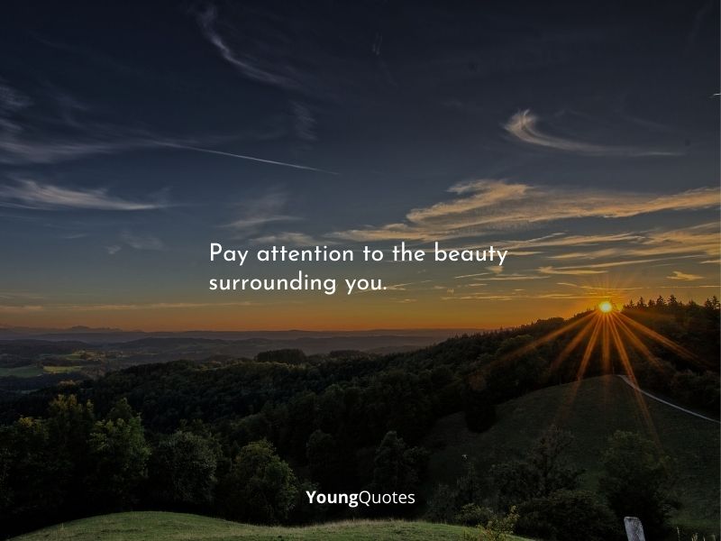 Pay attention to the beauty surrounding you.