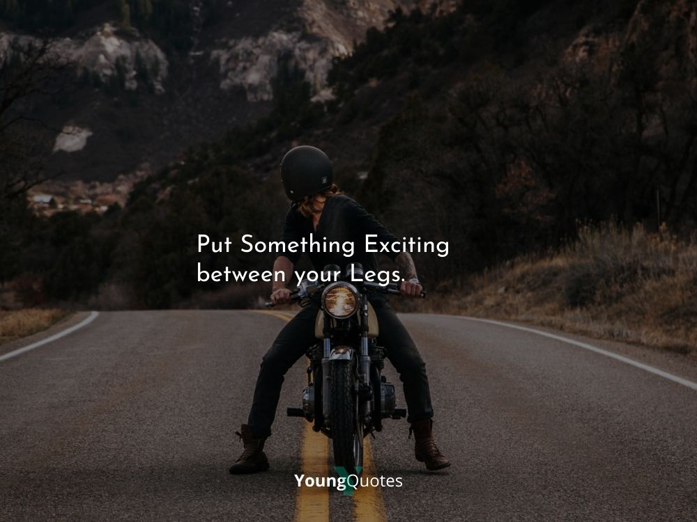 Put Something Exciting between your Legs
