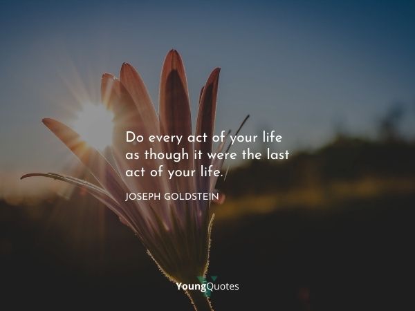 Do every act of your life as though it were the last act of your life.” – Joseph Goldstein