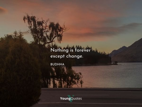 Nothing is forever except change.” – Budhha