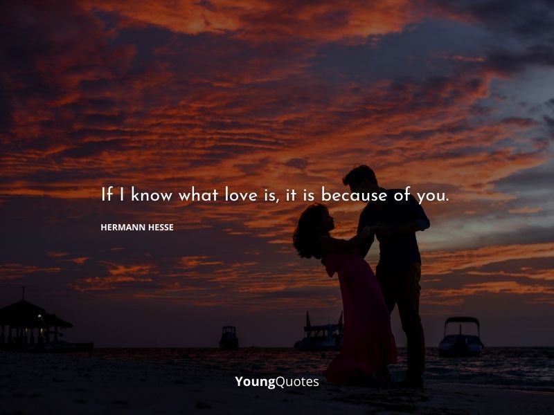 If I know what love is, it is because of you. — Hermann Hesse