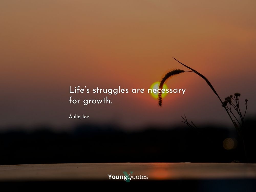 Inspirational Quotes About Life And Struggles 